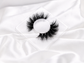 Bambi | Silk Premium Mink Lashes  (Cruelty Free)