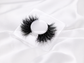 LA | Silk Premium Mink Lashes (Cruelty Free)