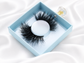 LA | Silk Premium Mink Lashes (Cruelty Free)