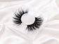 Tango | Silk Premium Mink Lashes  (Cruelty Free)