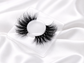 Tango | Silk Premium Mink Lashes  (Cruelty Free)