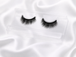 Scorpio Magnetic Lash