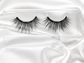Leo Magnetic Lash