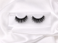 Gemini Magnetic Lash